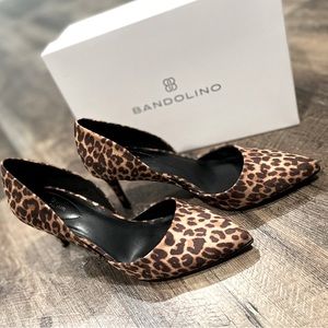 Animal Print 8.5 • 
BANDOLINO